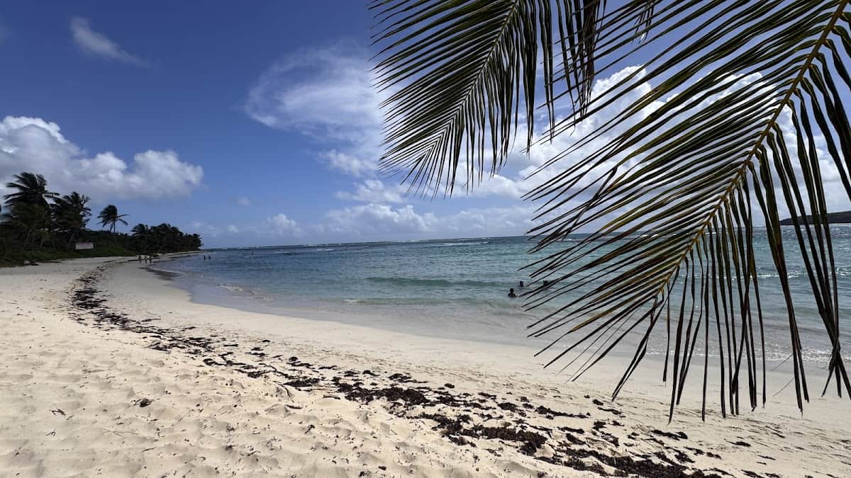 Playa Brava (Culebra) beach in Culebra, Puerto Rico - Secluded