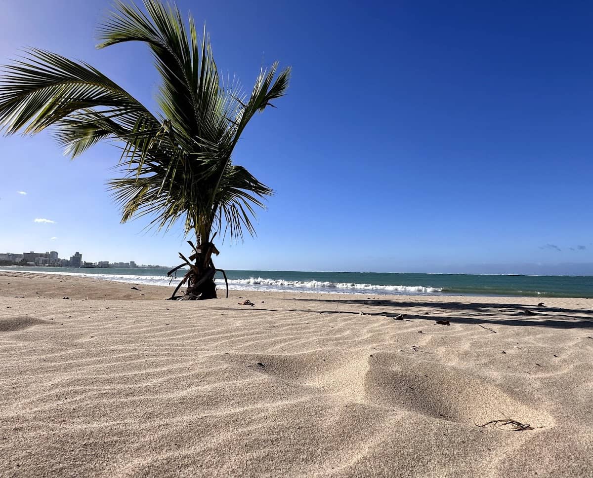 Balneario de Carolina beach in Carolina, Puerto Rico - scenic coastal view
