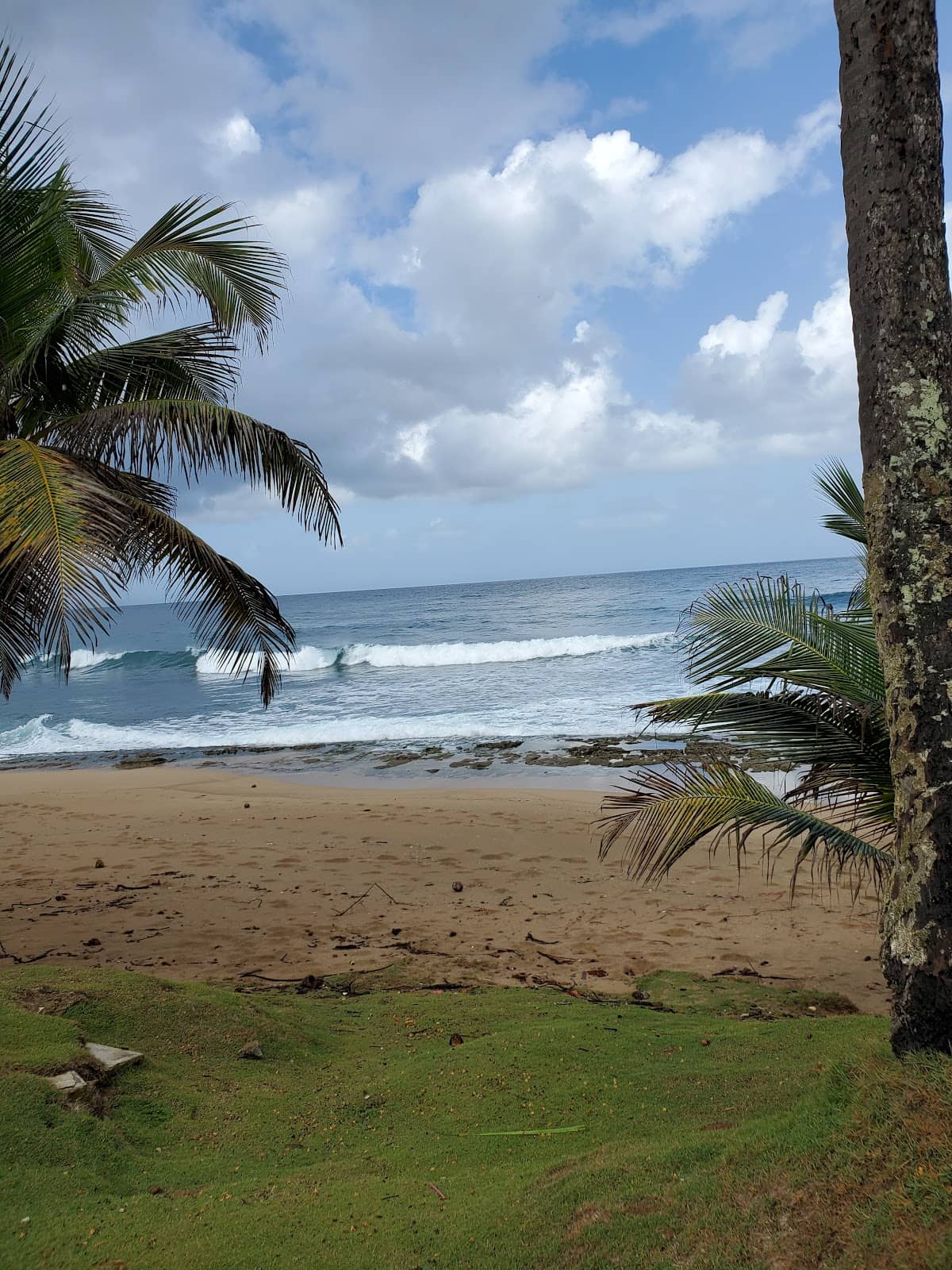 Balneario Punta Salinas beach in Toa Baja, Puerto Rico - scenic coastal view