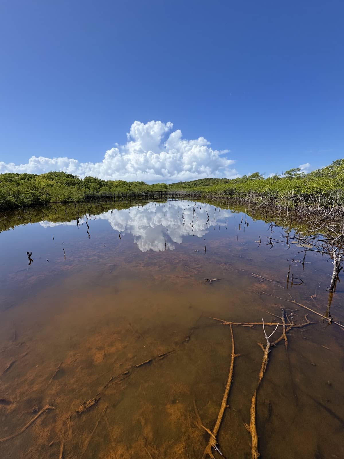 Cabezas de San Juan Reserve Shore beach in Fajardo, Puerto Rico - scenic coastal view