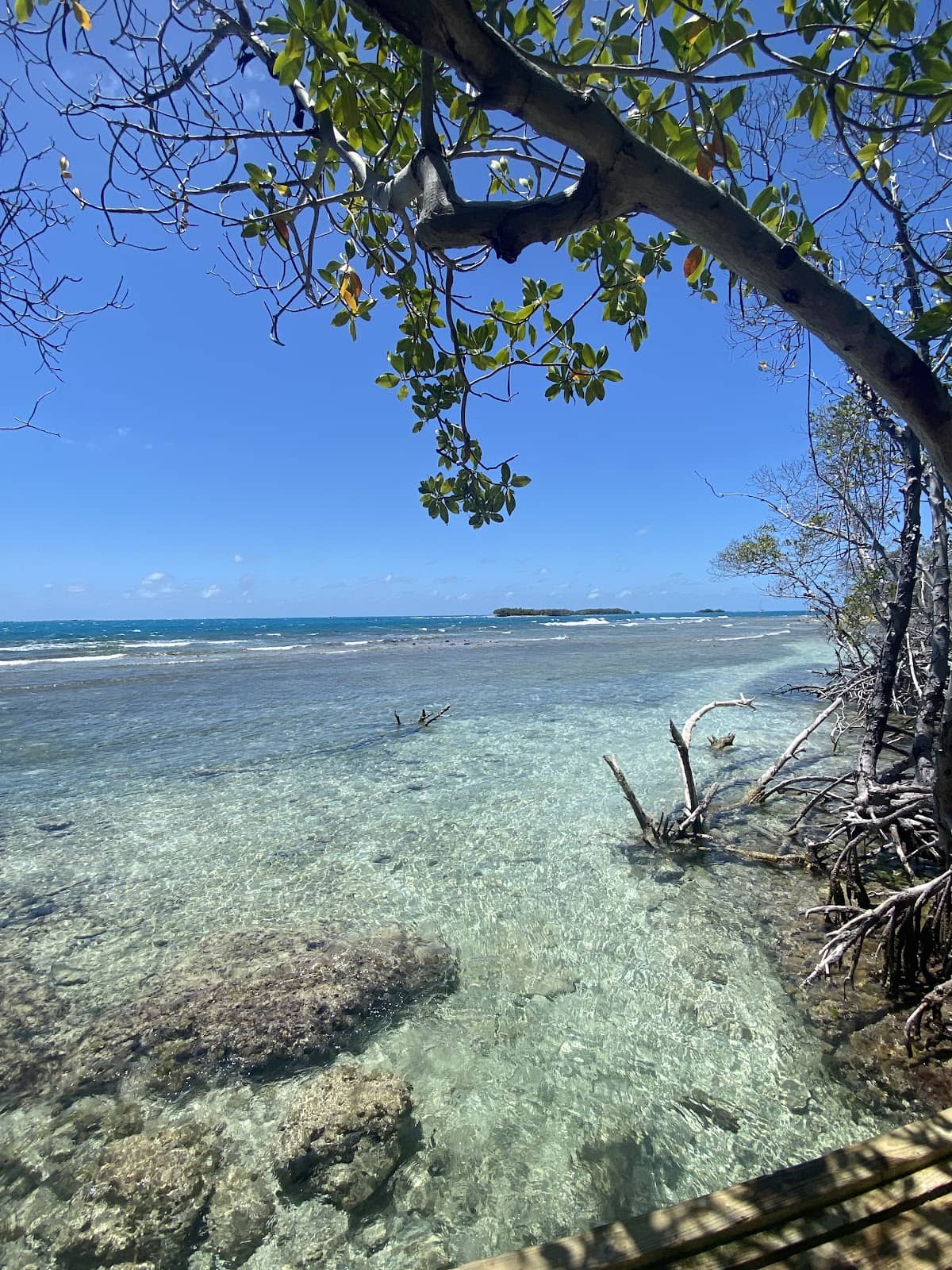 Mata La Gata beach in Lajas, Puerto Rico - scenic coastal view
