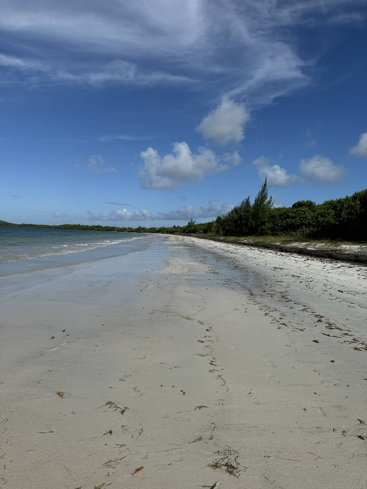 Playa Medio Mundo beach in Ceiba, Puerto Rico - scenic coastal view