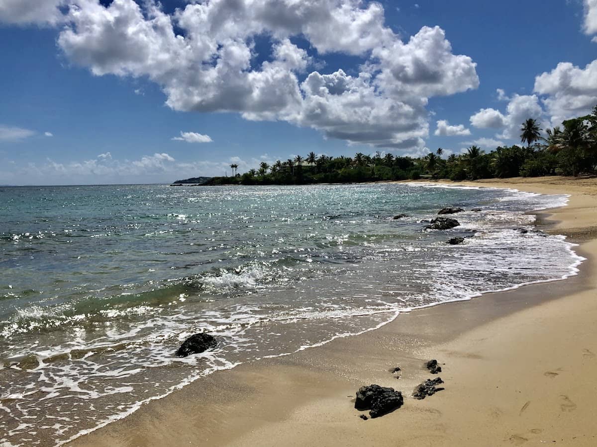 Punta Arenas (Green Beach) beach in Vieques, Puerto Rico - scenic coastal view