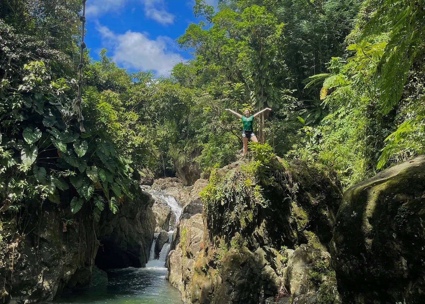 El Yunque Small-Group Tour: From $84.50, Save $10.50 - Image 1