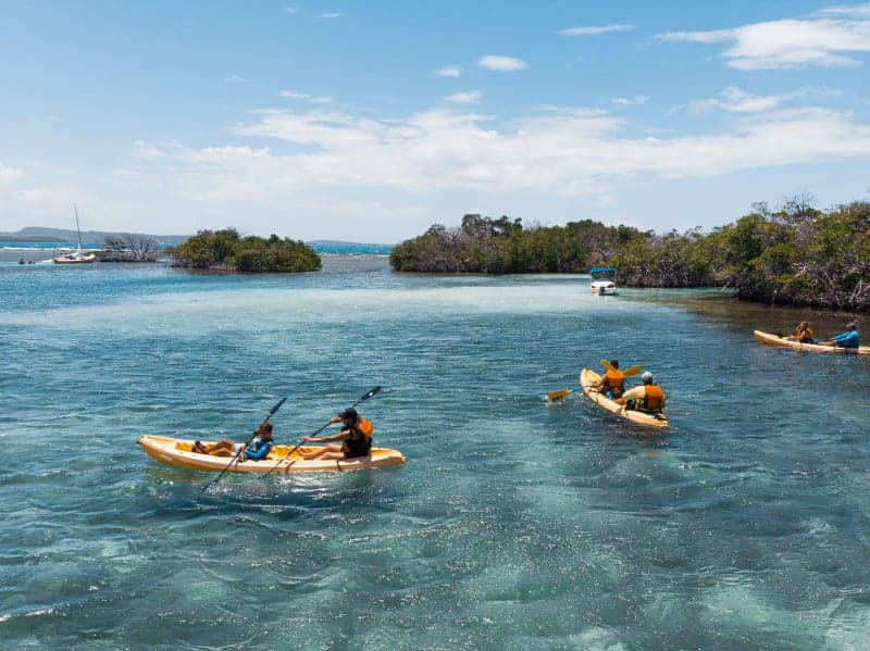 Cayo Enrique