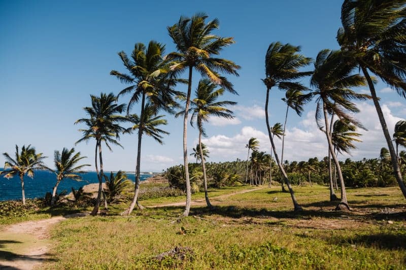 Cerro Gordo Shore (north aerostat)