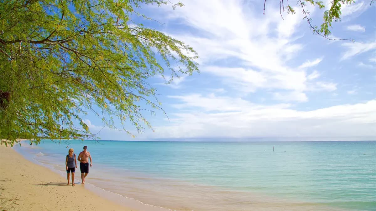 Caribe Hilton - Winter Sale - Up to 20% OFF hotel deal in San Juan, Puerto Rico