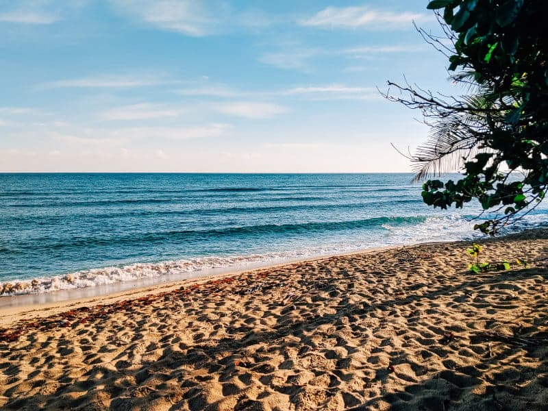 Surfer’s Beach