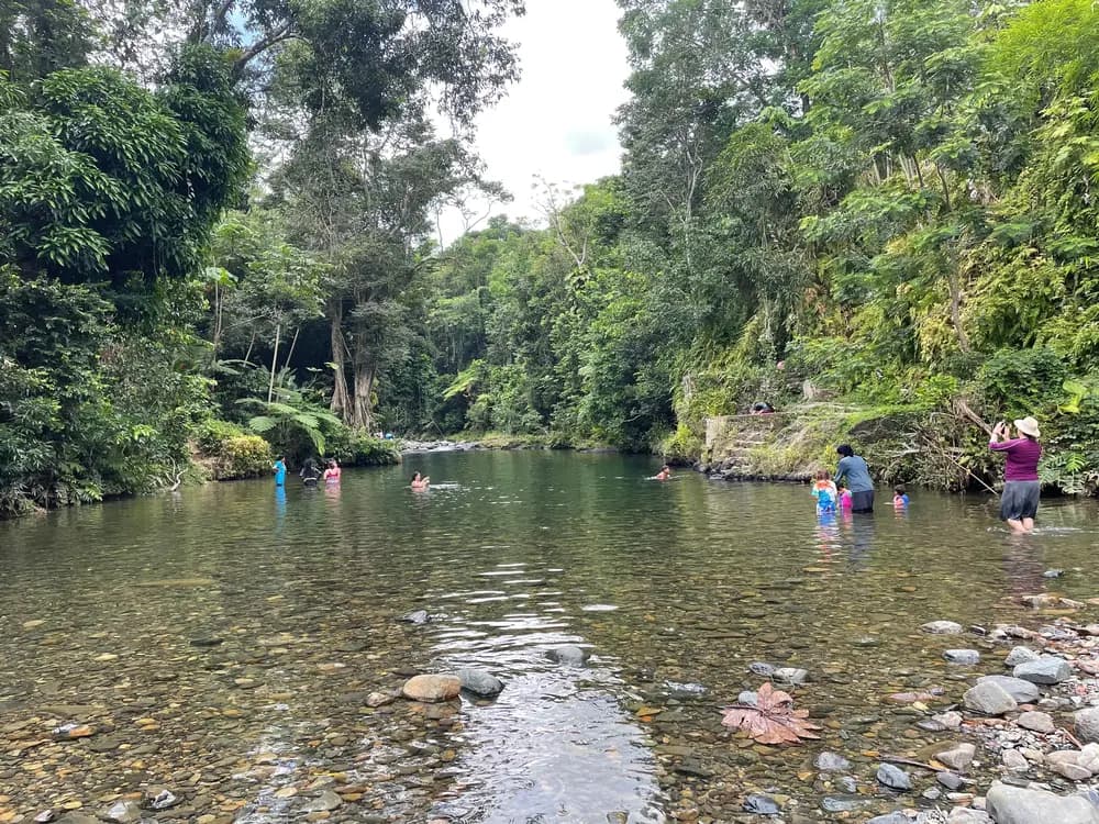 Best of Puerto Rico Private Day Tour: 10% Off - 10% off tour deal in San Juan / El Yunque, Puerto Rico