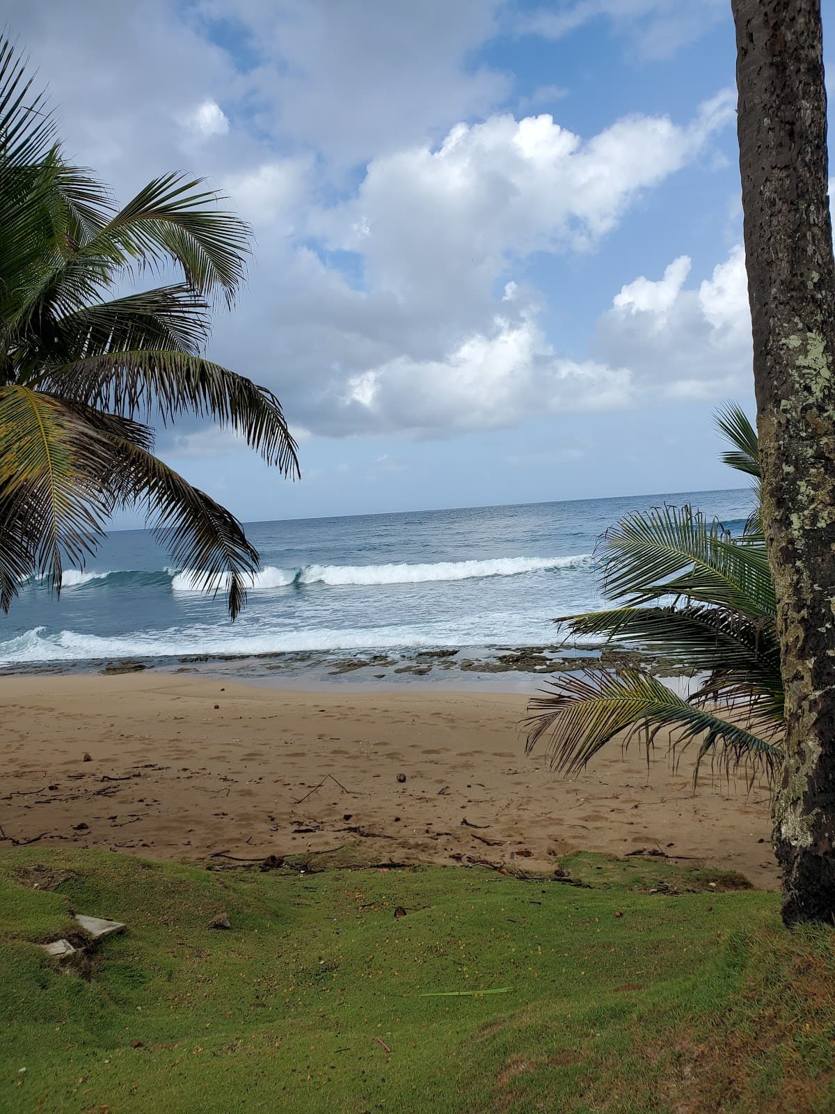 Balneario Punta Salinas beach in Toa Baja, Puerto Rico - Family Friendly, Scenic