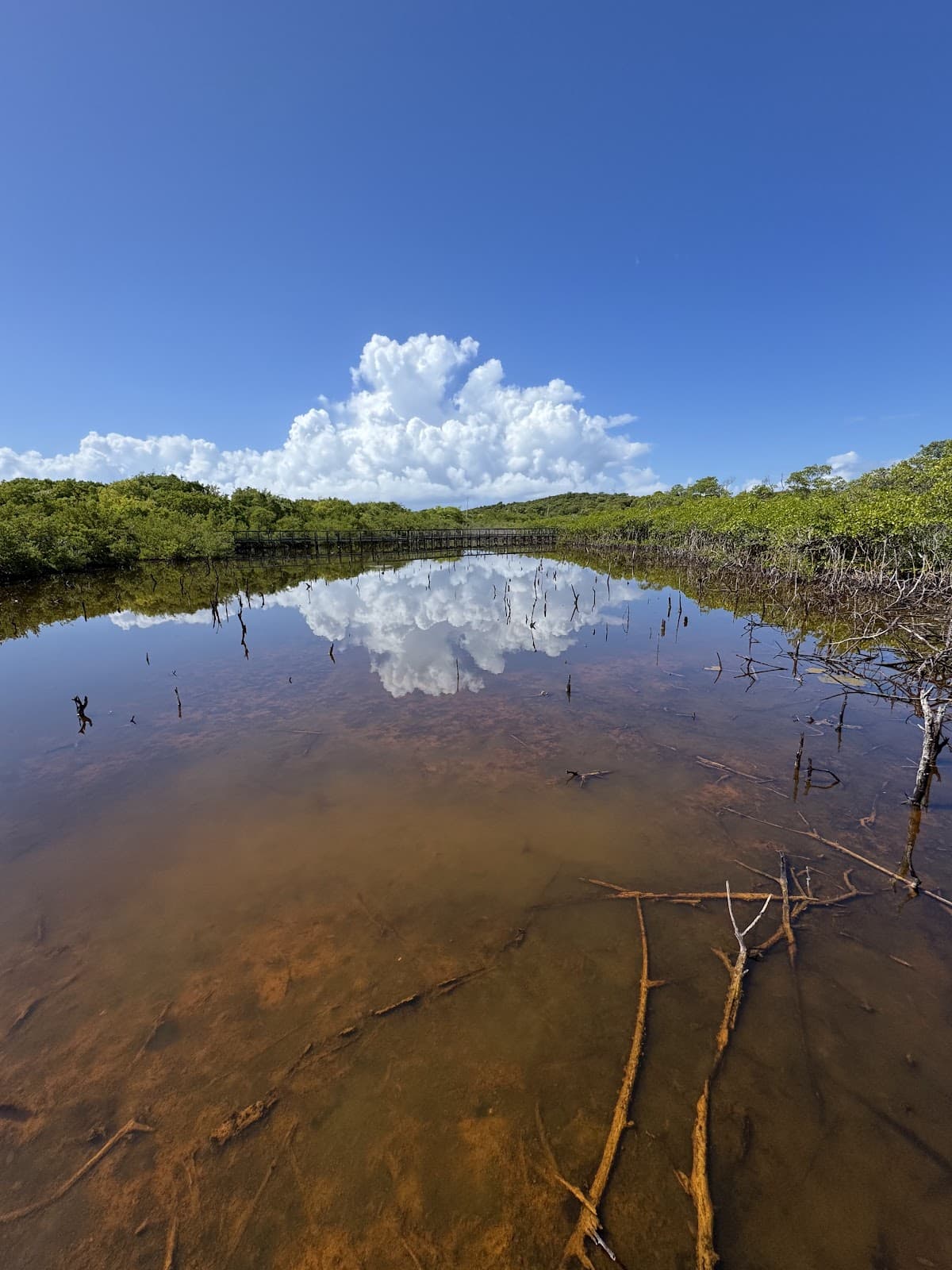 Cabezas de San Juan Reserve Shore beach in Fajardo, Puerto Rico - Scenic