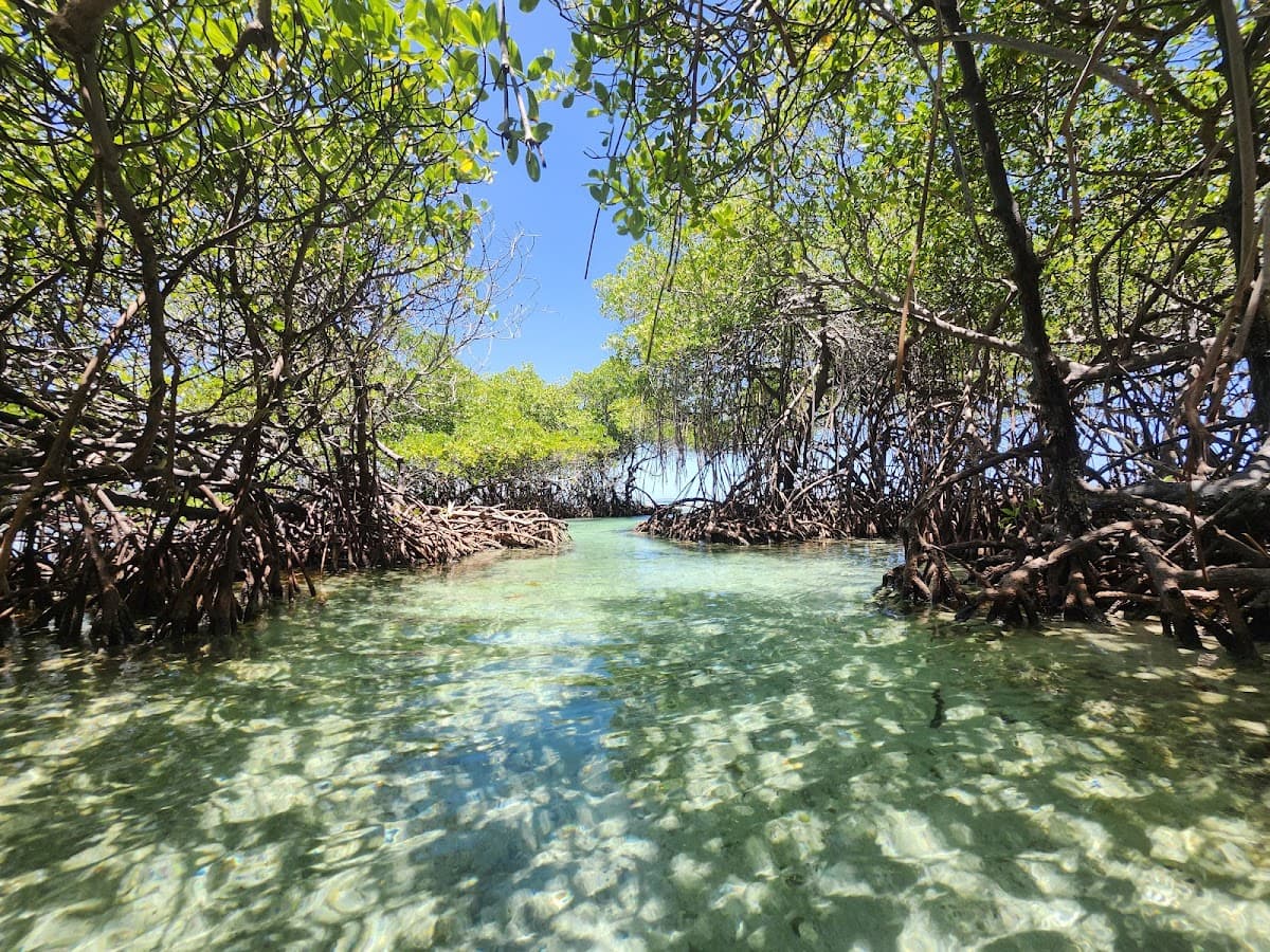 Cayo Enrique beach in Lajas, Puerto Rico - scenic coastal view