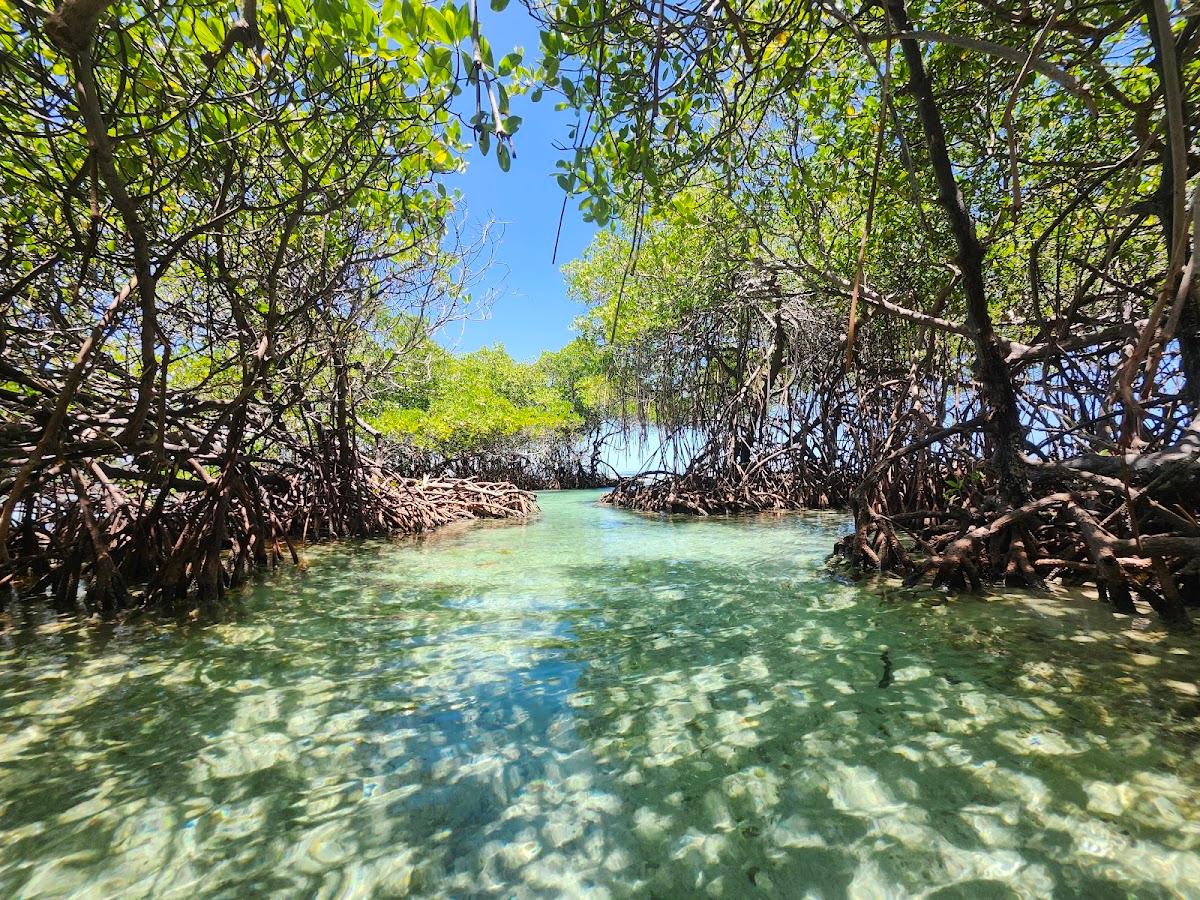 Cayo Enrique beach in Lajas, Puerto Rico - scenic coastal view