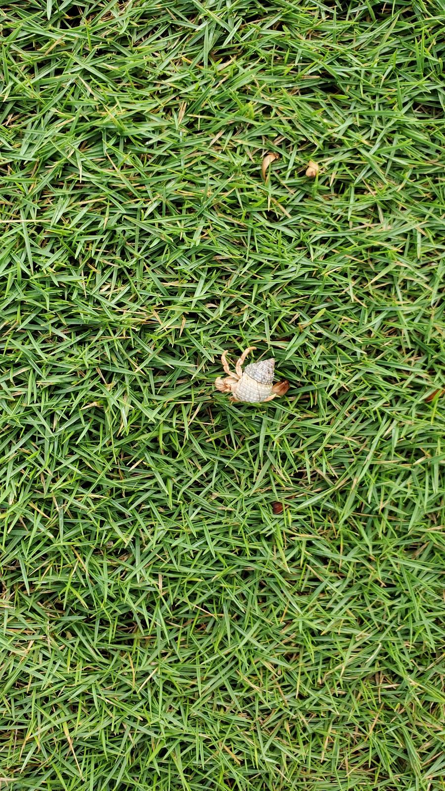 Kikita Beach beach in Dorado, Puerto Rico - Diving, Scenic