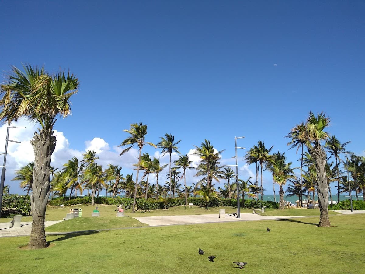 La Ocho (Escambrón east reef) beach in San Juan, Puerto Rico - Diving, Snorkeling