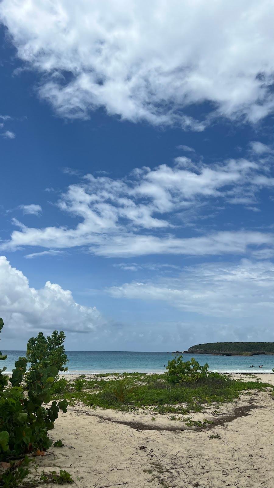 La Plata / Platita beach in Vieques, Puerto Rico - scenic coastal view