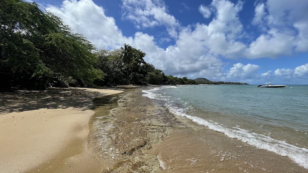 Mosquito Pier (Rompeolas) beach in Vieques, Puerto Rico - scenic coastal view