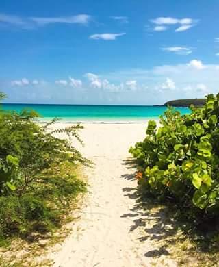 Navio Beach beach in Vieques, Puerto Rico - Scenic