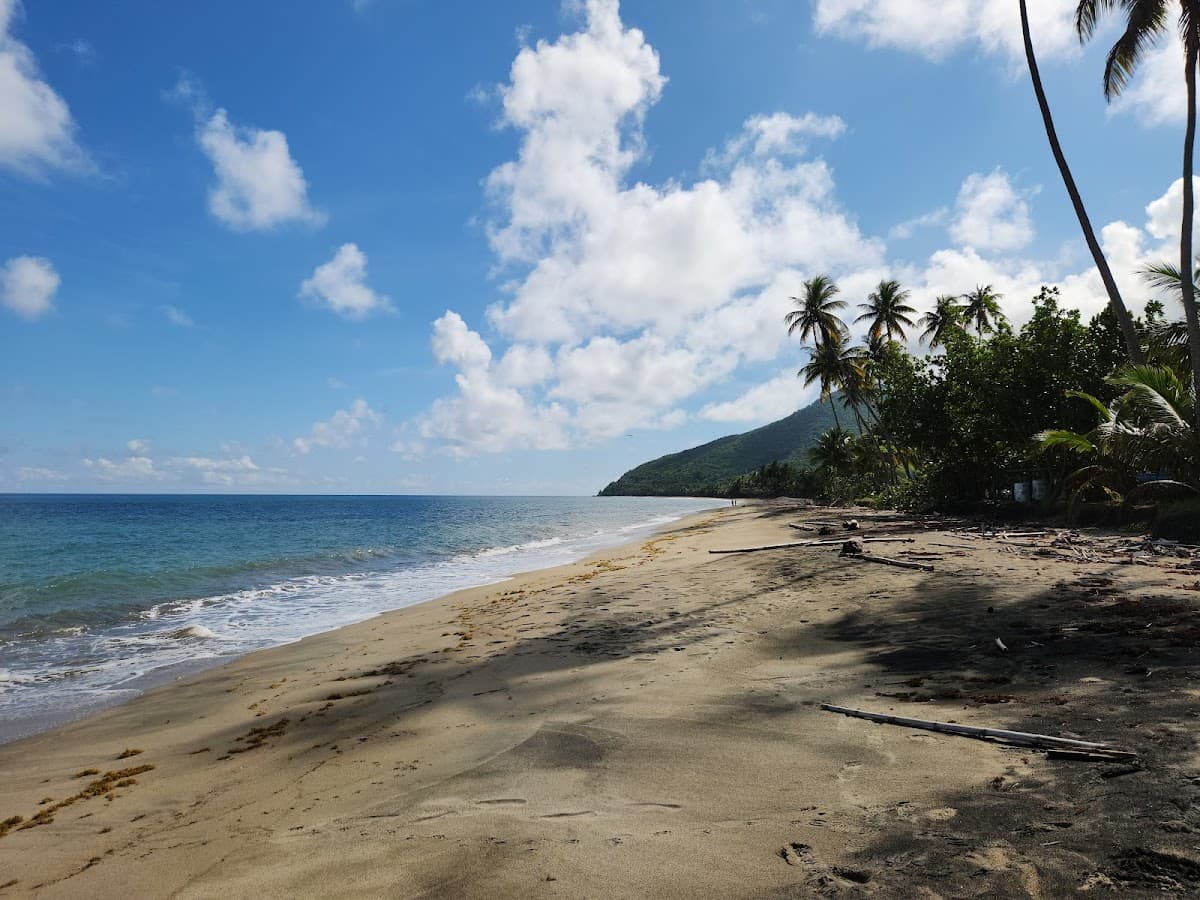 Playa Los Pinos (Maunabo) beach in Maunabo, Puerto Rico - scenic coastal view
