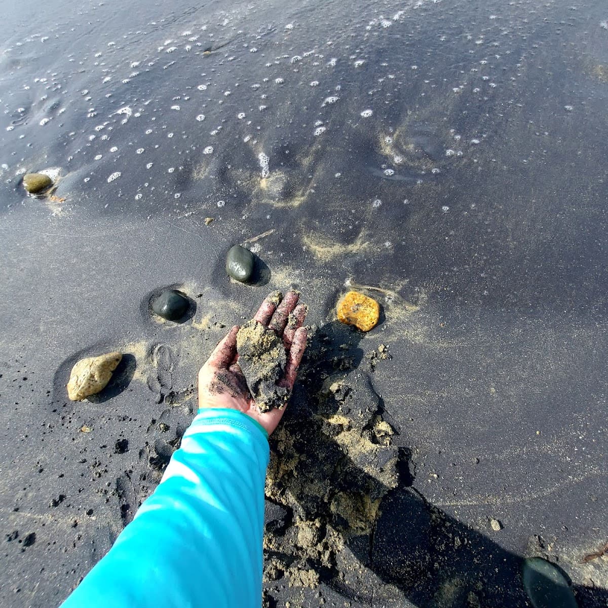 Playa Negra (Black Sand Beach) beach in Vieques, Puerto Rico - Scenic, Secluded