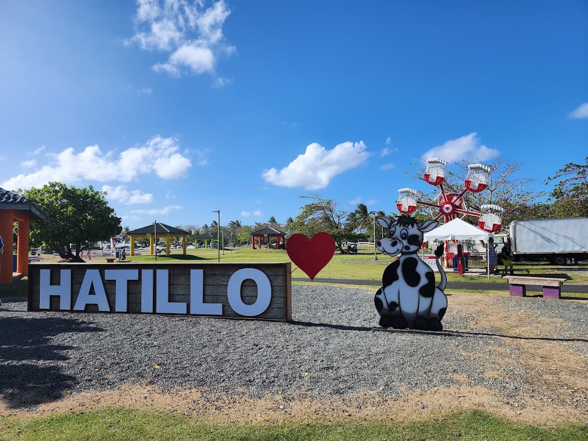 Sardinera (Hatillo) beach in Hatillo, Puerto Rico - scenic coastal view