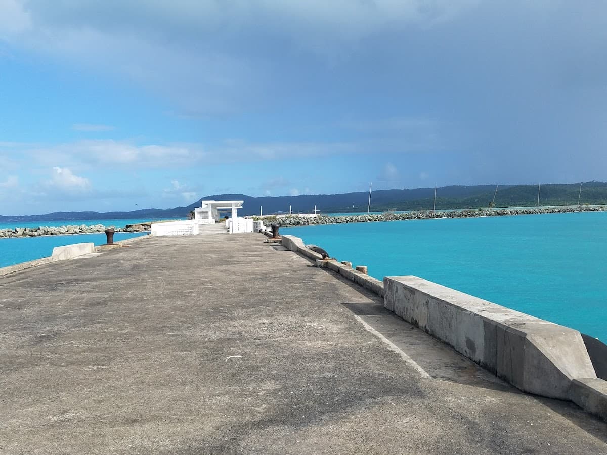Starfish Beach (Vieques) beach in Vieques, Puerto Rico - scenic coastal view