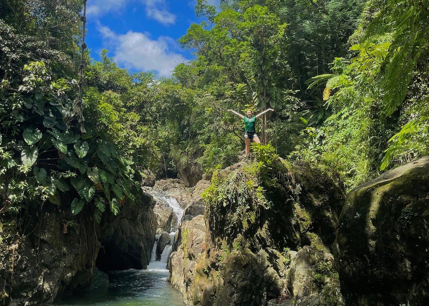 El Yunque Small-Group Tour: From $84.50, Save $10.50 - Save $10.50 tour deal in San Juan / Luquillo, Puerto Rico