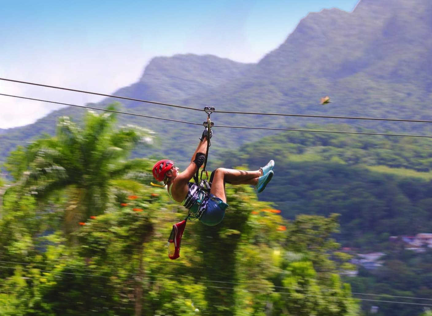 Yunque Ziplining Promo Code: Save $10 with YZ10 - $10 Off Per Person activity deal in Luquillo, Puerto Rico