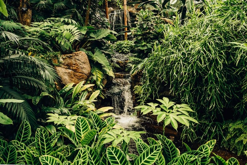 El Yunque + Bio Bay Combo Tour (Viator) - Check current price tour deal in Isla Verde, Puerto Rico, Puerto Rico