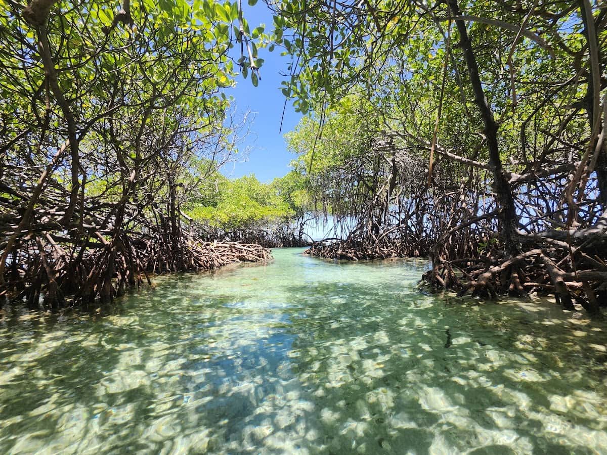 Cayo Enrique beach in Lajas, Puerto Rico - Secluded, Snorkeling