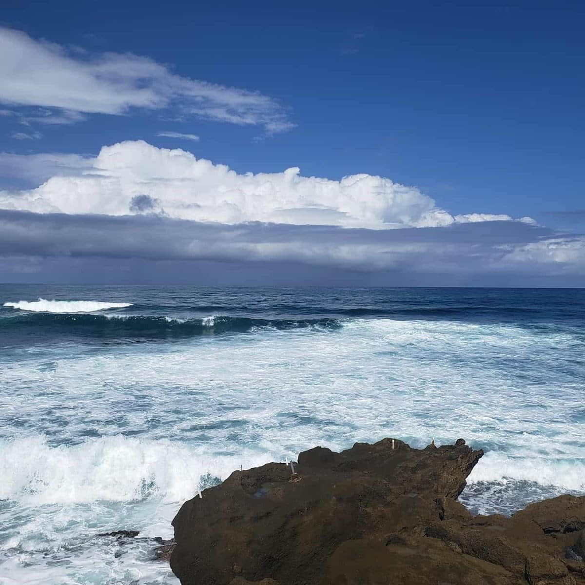 Dorado East Reef Shore beach in Dorado, Puerto Rico - Scenic