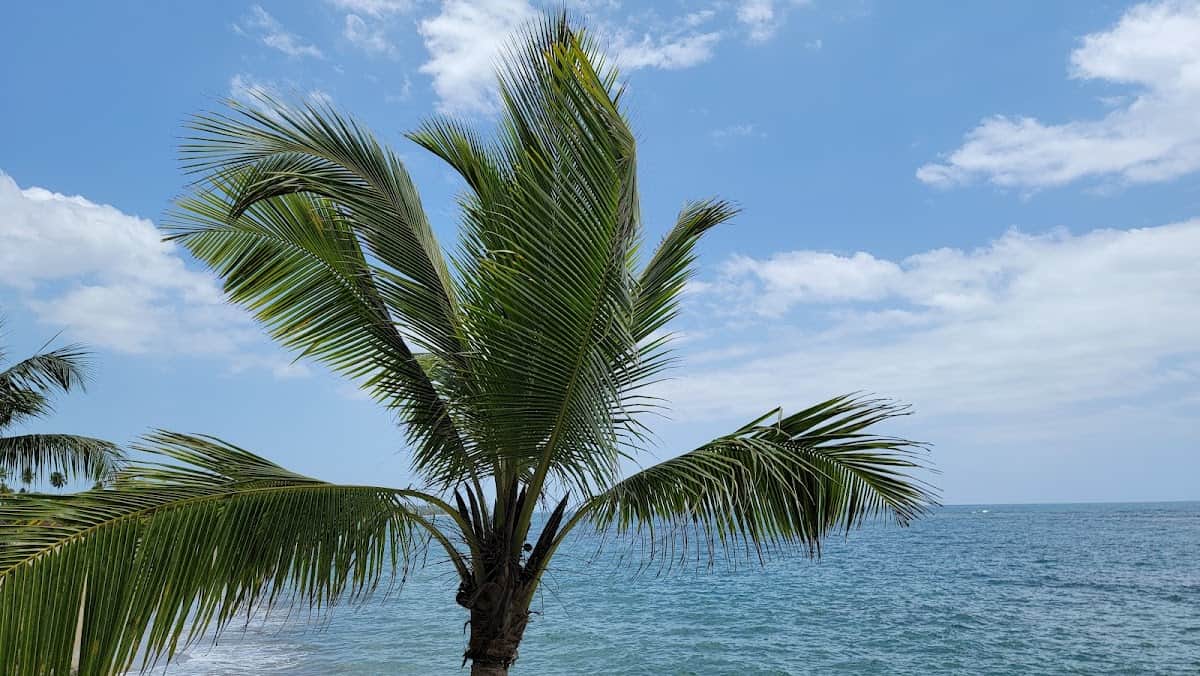 Espinar Beach beach in Aguada, Puerto Rico - Scenic