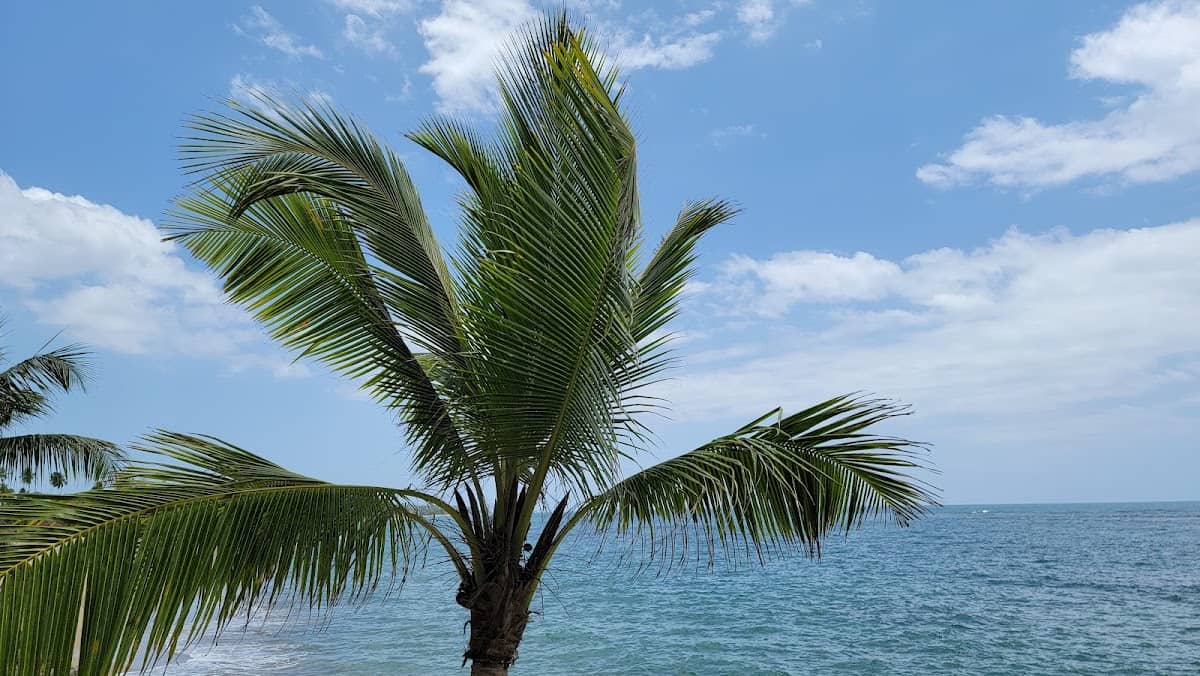 Espinar Beach beach in Aguada, Puerto Rico - scenic coastal view