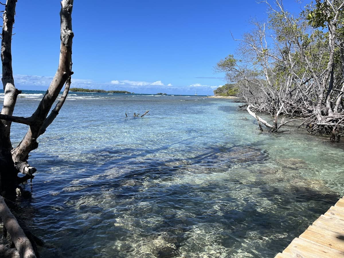 La Parguera Waterfront beach in Lajas, Puerto Rico - scenic coastal view