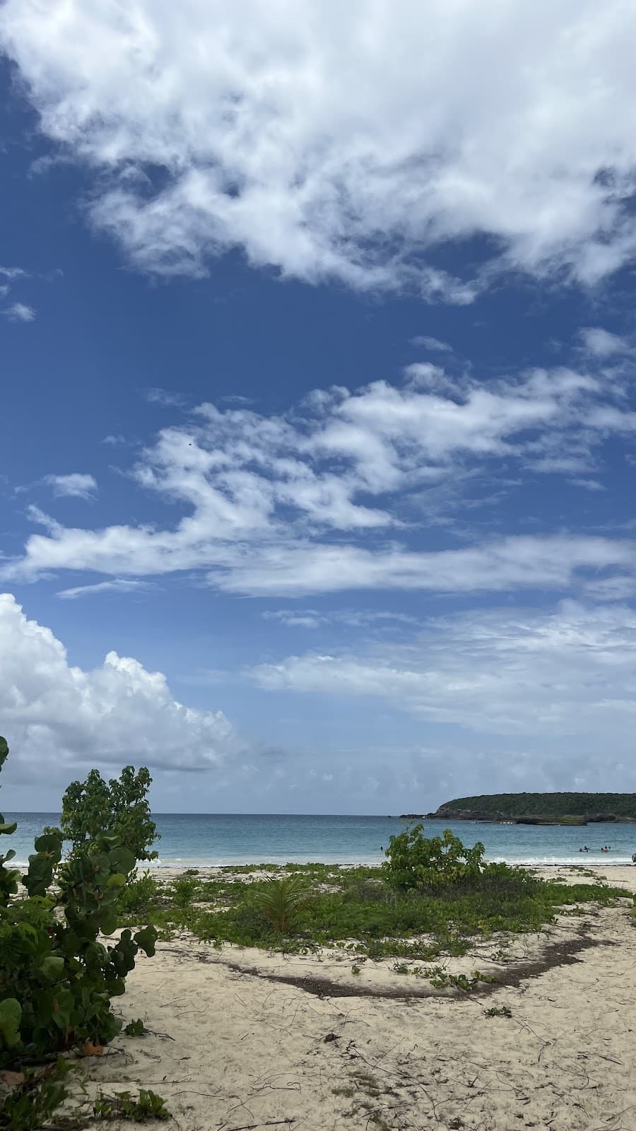 La Plata / Platita beach in Vieques, Puerto Rico - scenic coastal view