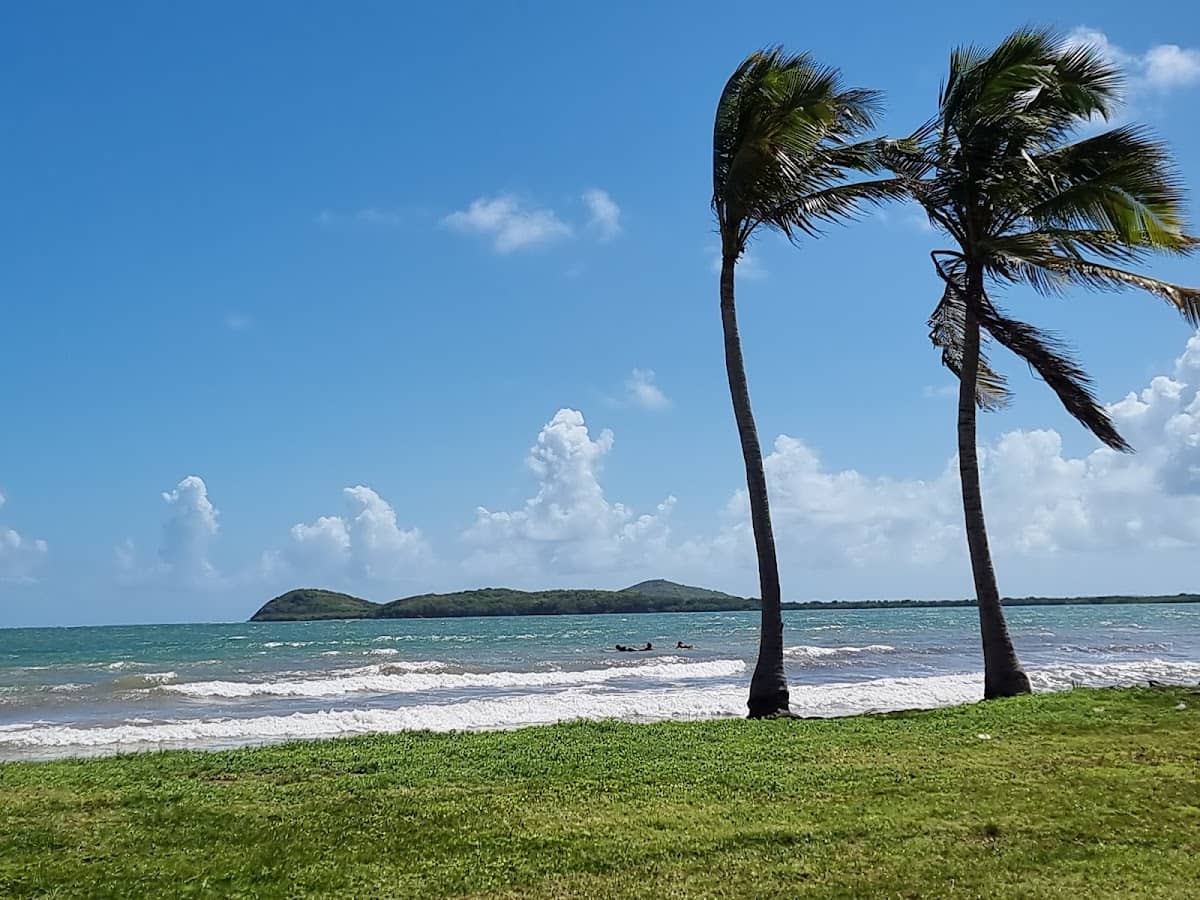 Playa Los Machos beach in Ceiba, Puerto Rico - scenic coastal view