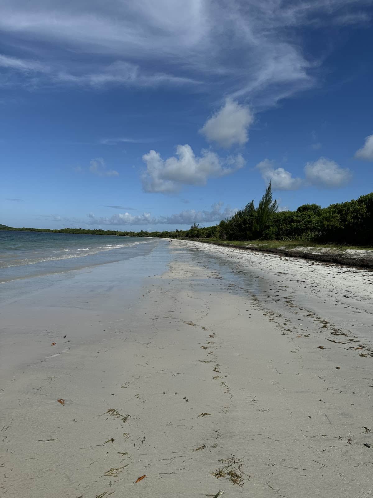 Playa Medio Mundo beach in Ceiba, Puerto Rico - Family Friendly, Scenic