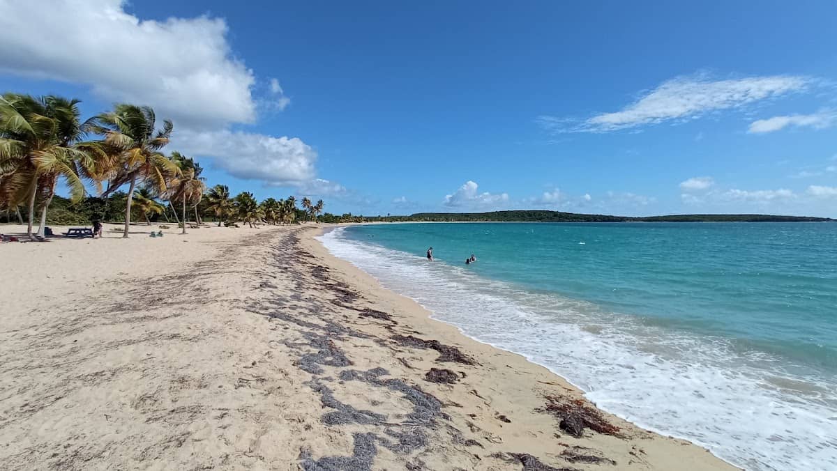 Sun Bay beach in Vieques, Puerto Rico - scenic coastal view