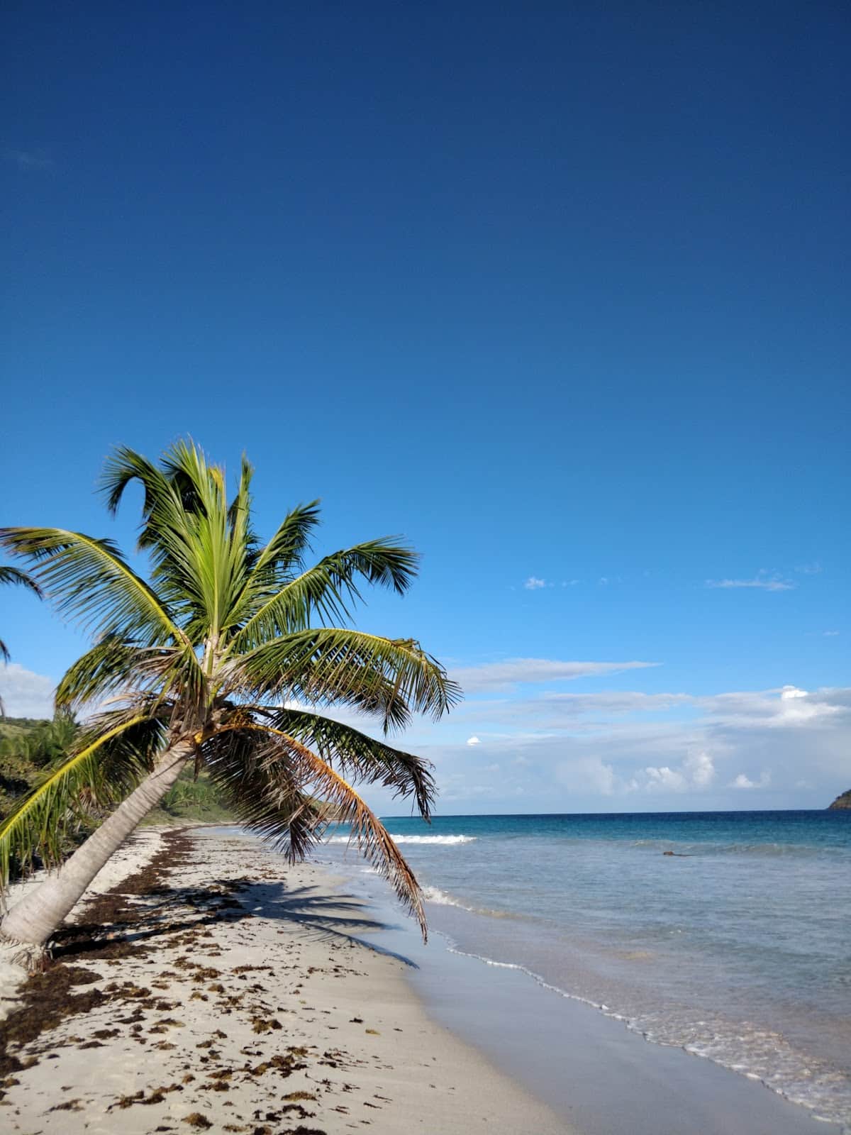 Zoni Beach (Zoní) beach in Culebra, Puerto Rico - Scenic