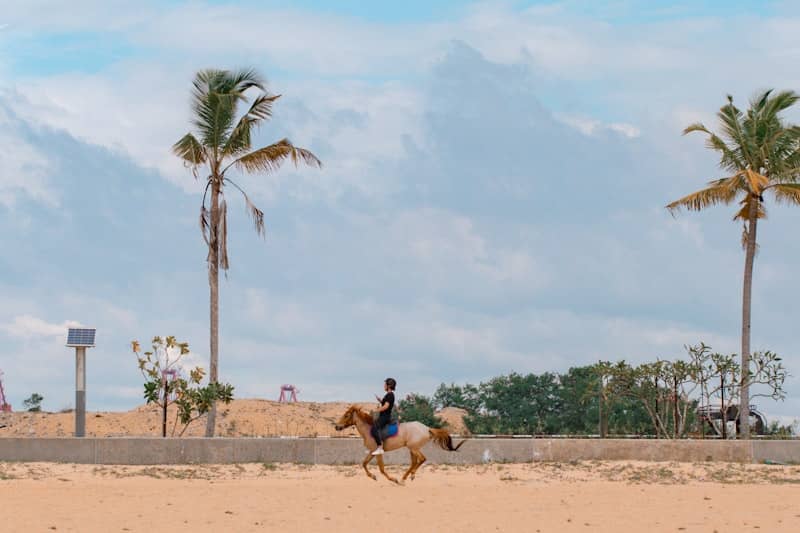 Luquillo Beach Horse Ride from Carabalí Park - Image 1